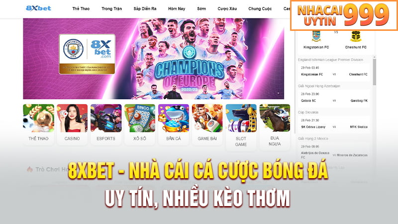 8XBET - Nhà cái cá cược bóng đá uy tín