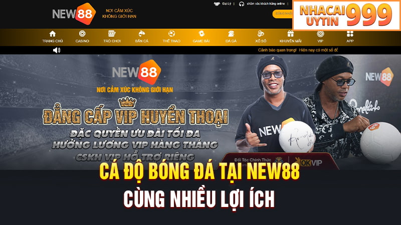 Cá độ bóng đá tại NEW88 cùng nhiều lợi ích