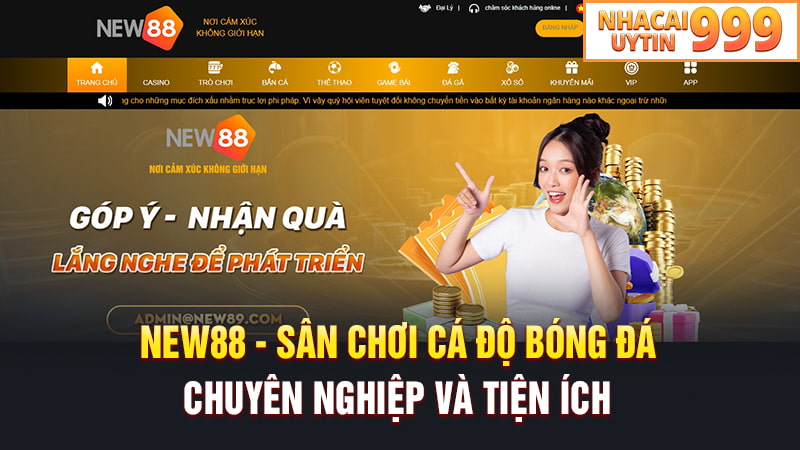 NEW88 - Sân chơi cá độ bóng đá chuyên nghiệp