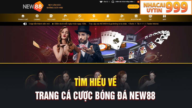 Tìm hiểu về trang cá cược bóng đá NEW88