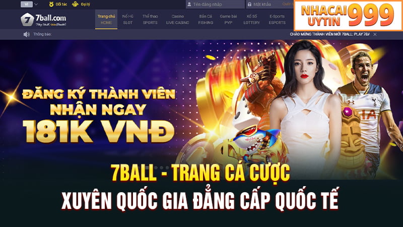 7Ball - trang cá cược xuyên quốc gia