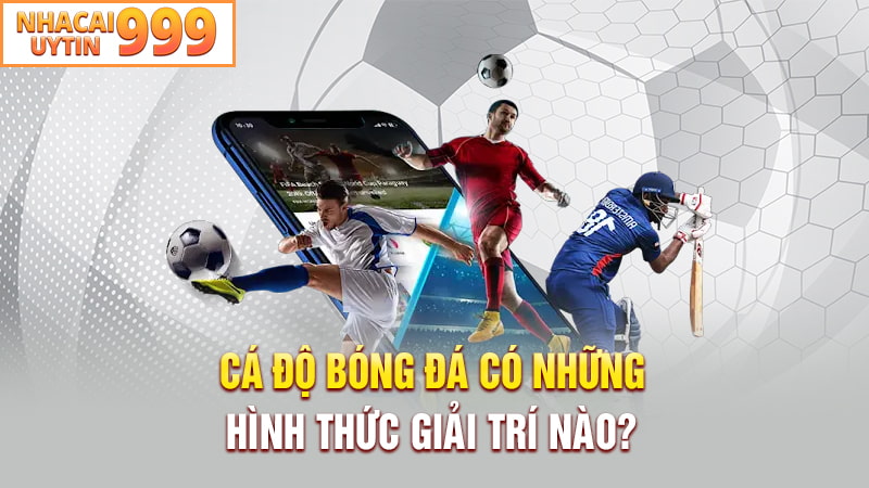 Các hình thức giải trí cá độ bóng đá