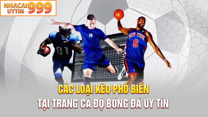 Các loại kèo phổ biến tại trang cá độ bóng đá uy tín