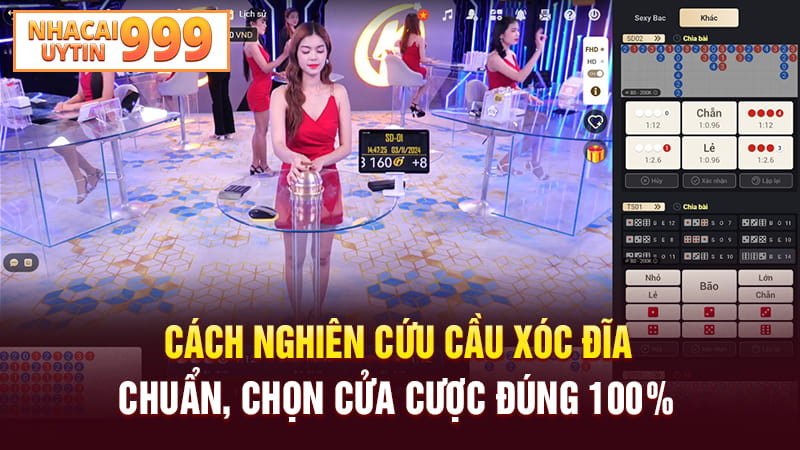 Cách nghiên cứu cầu xóc đĩa