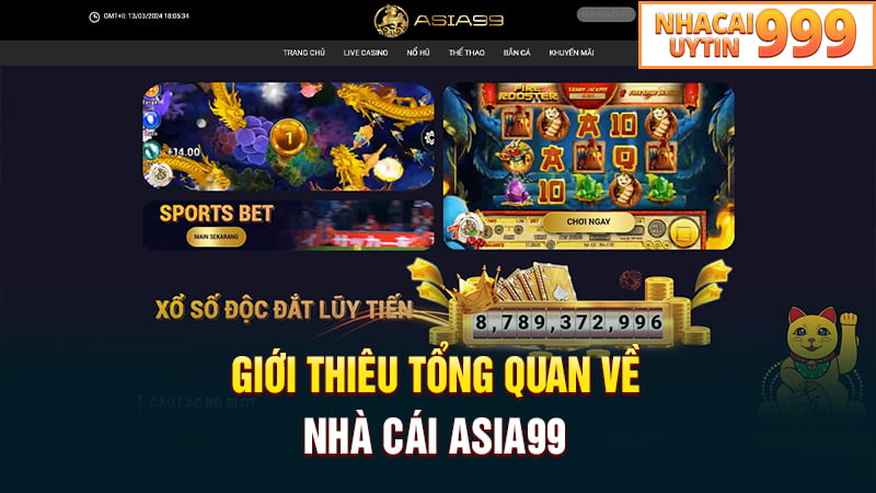 Giới thiệu tổng quan về nhà cái ASIA99