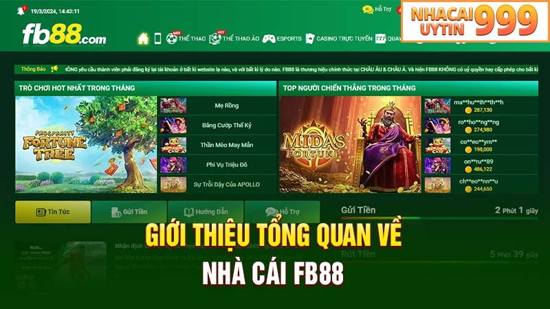 Giới thiệu tổng quan về nhà cái FB88