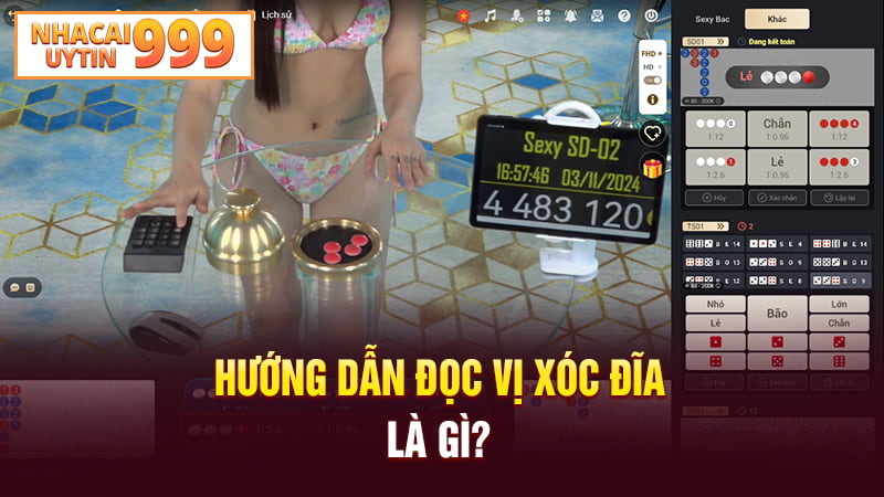 Hướng dẫn đọc vị xóc đĩa là gì?