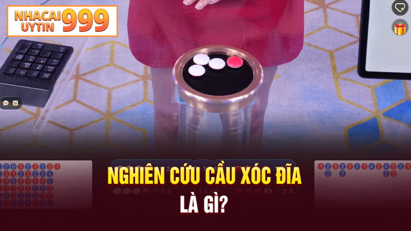 Nghiên cứu cầu xóc đĩa là gì?