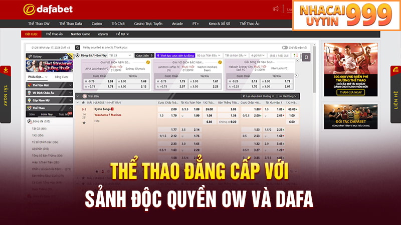 Thể thao độc quyền DAFABET