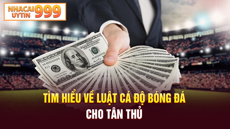 Tìm hiểu về luật cá độ bóng đá cho tân thủ