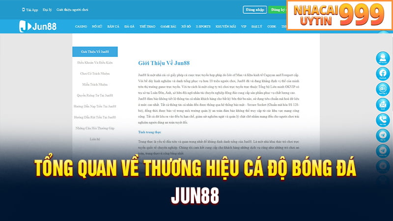 Tổng quan về thương hiệu trang cá độ bóng đá uy tín JUN88