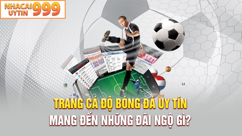 Trang cá độ bóng đá uy tín mang đến những đãi ngộ gì?