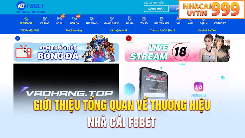 Giới thiệu tổng quan về thương hiệu nhà cái F8bet