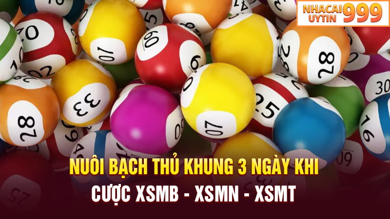 Nuôi bạch thủ khung 3 ngày khi chơi XSMB, XSMN, XSMT