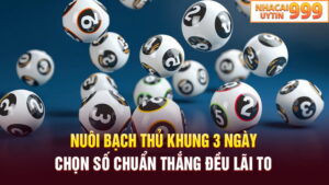 Nuôi bạch thủ khung 3 ngày bất bại