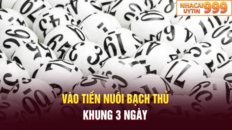 Vào tiền nuôi bạch thủ khung 3 ngày thế nào?